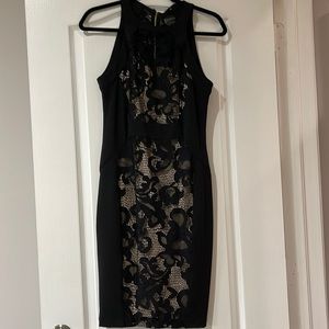 Caché Coctel Black Lace Dress
